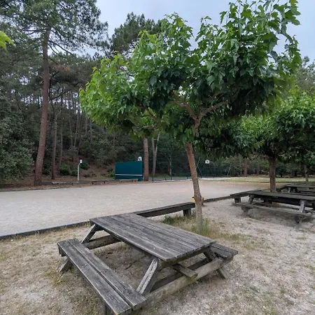 Maison 3 Jardin Proche Ocean Et Centre Lacanau